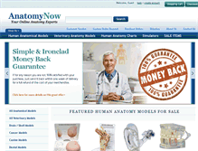 Tablet Screenshot of anatomynow.com